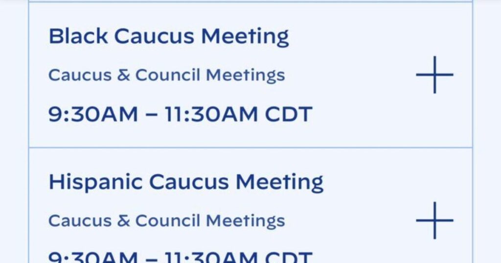 Kamala Harris’ DEI Democrat Convention to Feature Racially Segregated Meetings