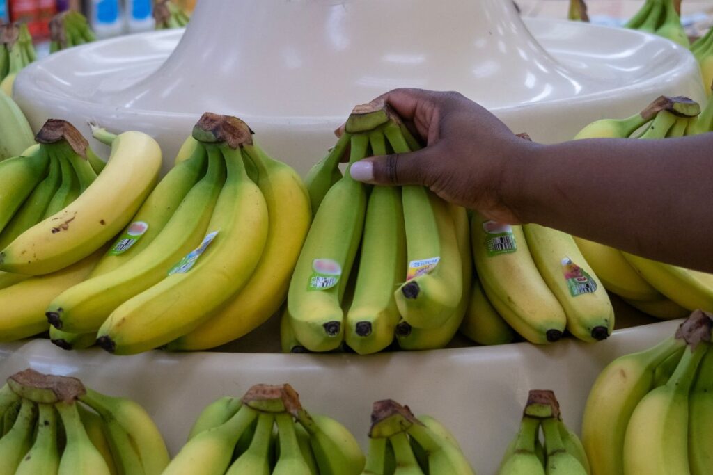 SNAP So Generous It Pays for Ineligible Household Members