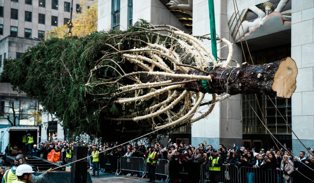 Rockefeller Center Tree Lights Up Wednesday Night in Midtown Manhattan