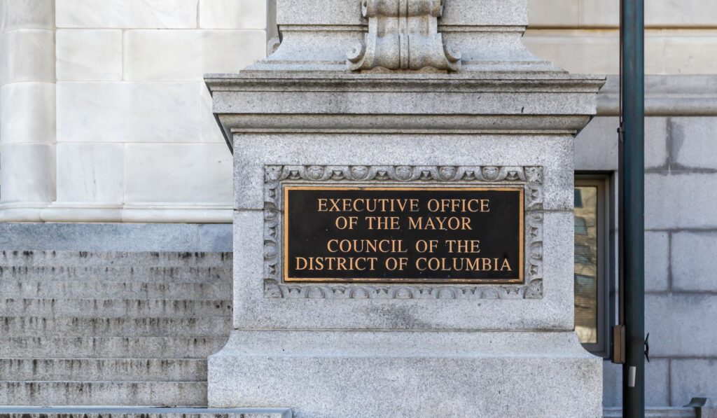 Janeese Lewis George Announces Monday: Run for D.C. Mayor Next Year