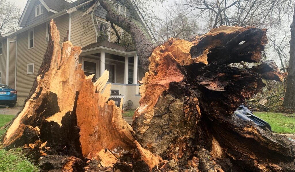 Powerful Storms Damage Two Ice Arenas, Uproot Trees Near UM