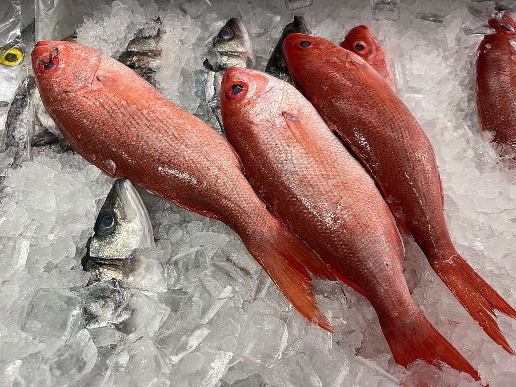 Federal Judge Employs Red Snapper as Cudgel in Court