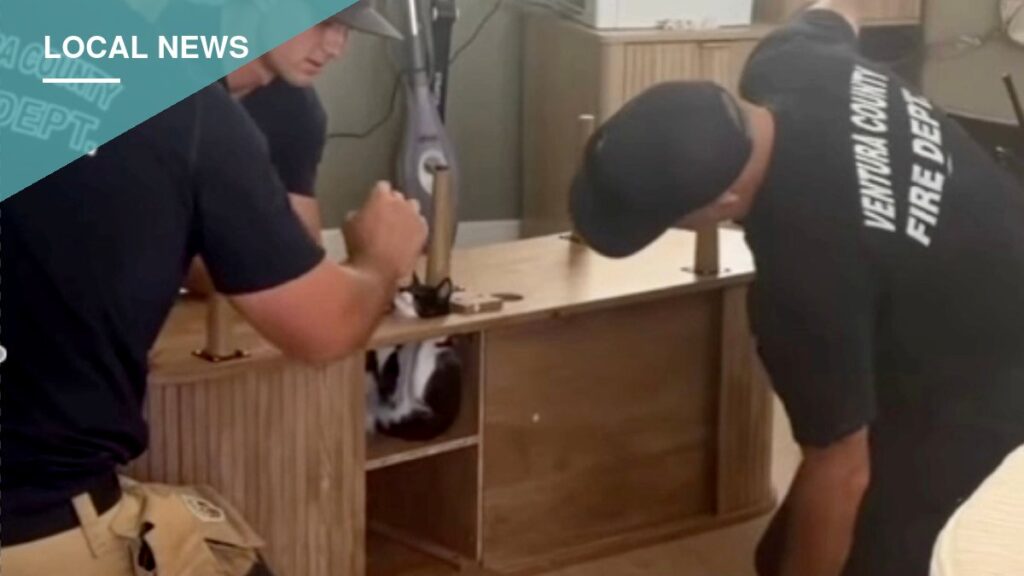 Camarillo Firefighters Free Kitten Stuck in Entertainment Center, Video Goes Viral