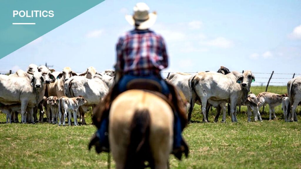 GOP Lawmakers Say Trump's Beef Import Plan Is Squeezing the Ranchers Who Elected Him