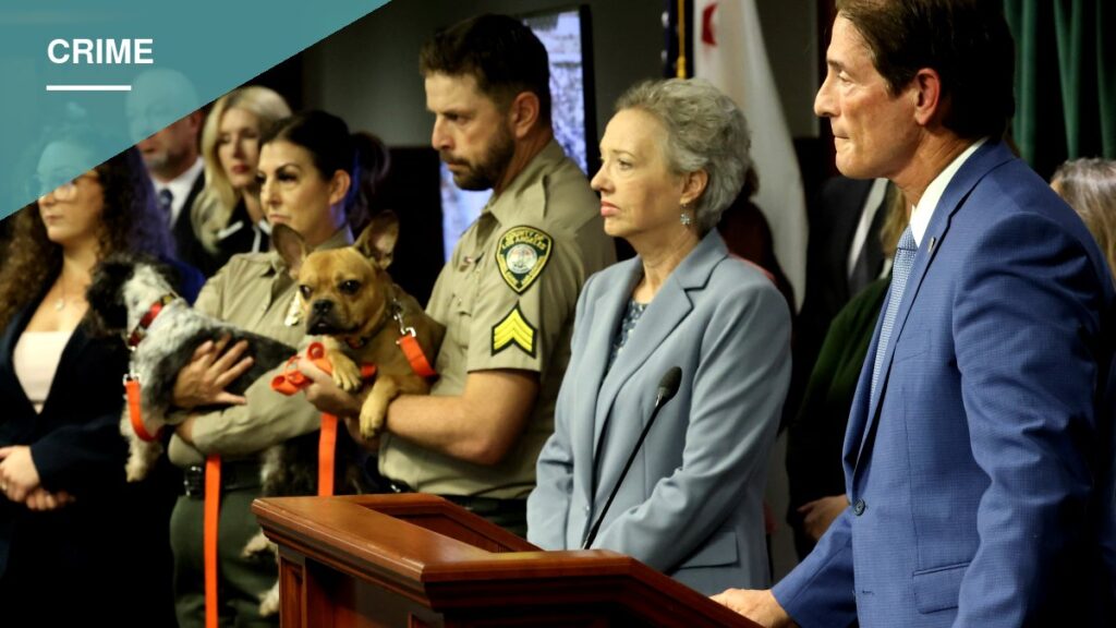 Lake Hughes Rescue Operator Charged With 35 Counts After 300 Animals Seized From Filthy Property