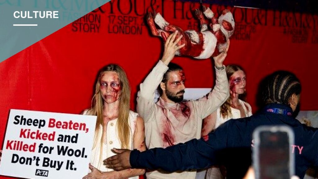 PETA Activists Storm H&M Catwalk in London Over Wool Sourcing