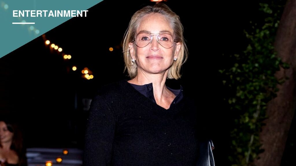 Sharon Stone Says Ex-Husband Signed Her Up for Brain Surgery Without Her Consent