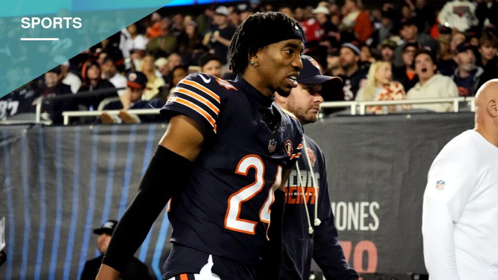 Broadcaster Questions NFL Integrity After Bears Defender's Odd Play vs. Patriots